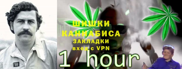 молекула духа Верхний Тагил