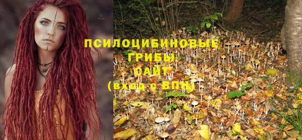 спиды Бугульма