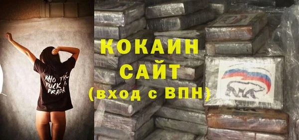 гашик Бронницы