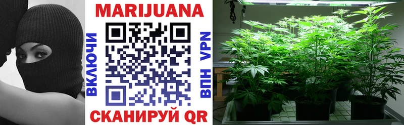 Купить  Томск  Конопля SATIVA & INDICA 